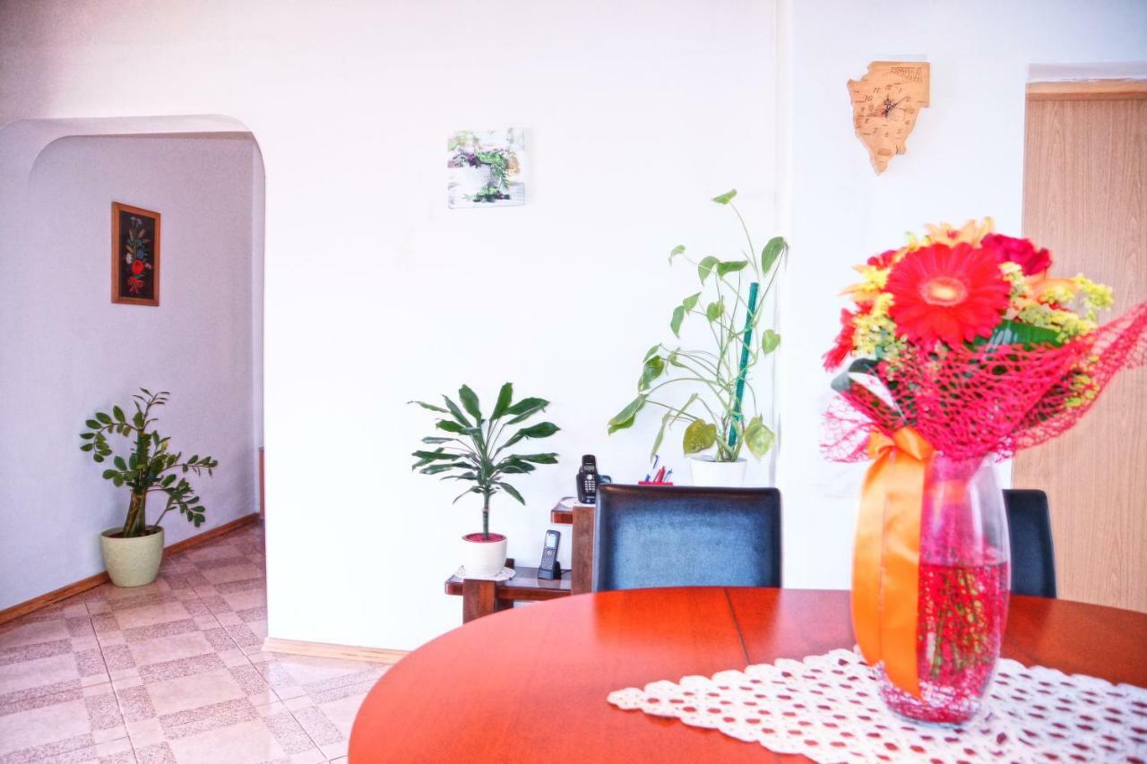 Holiday Home Bura Rovinj Ngoại thất bức ảnh